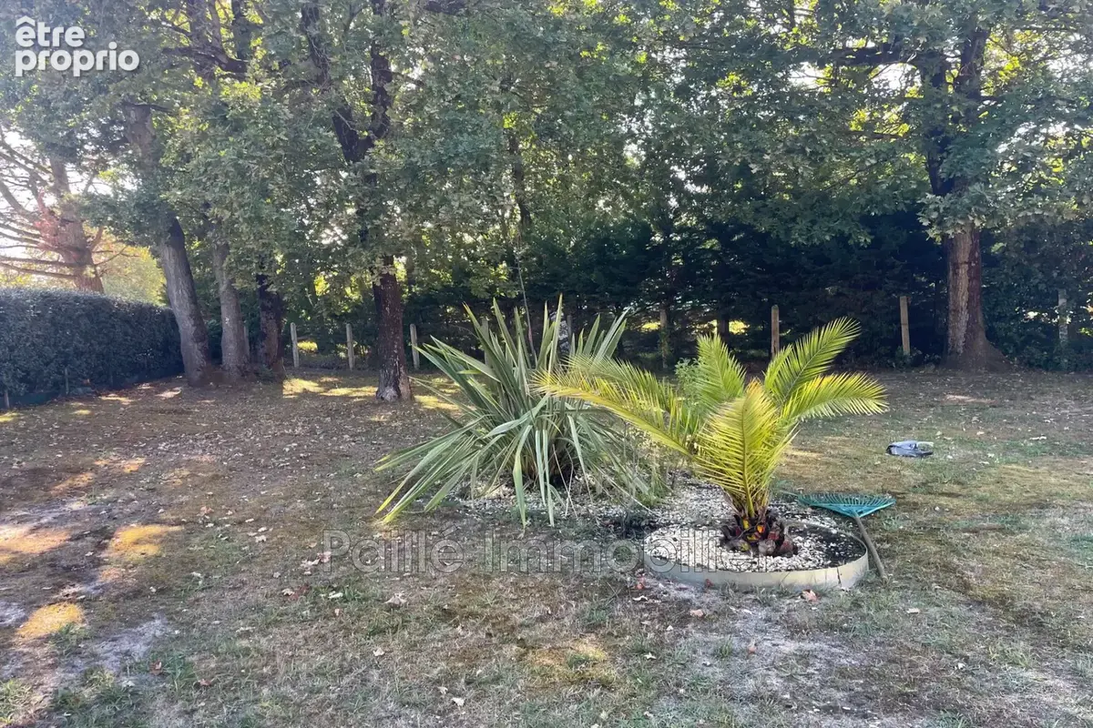 Maison 7 pièces 177 m² à vendre à Soulac-Sur-Mer (33780) - photo 5