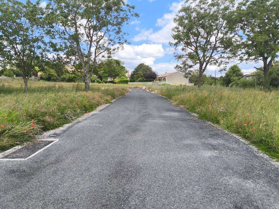 Terrain à MIGNE-AUXANCES