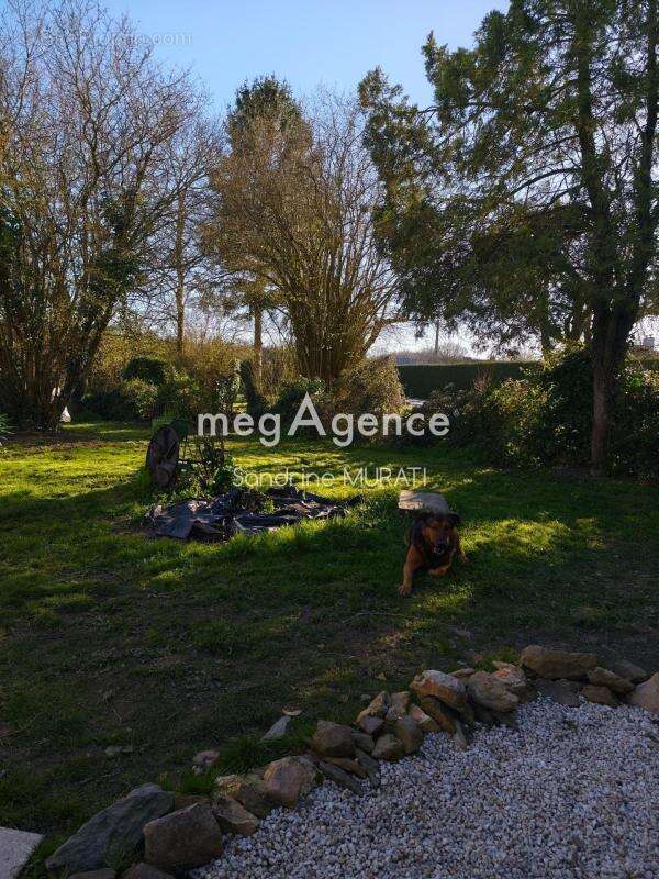 Maison en pierre + Grange St Aubin du désert (53) - photo 11