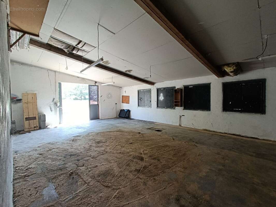 Maison 200 m² à Sillars  - photo 6
