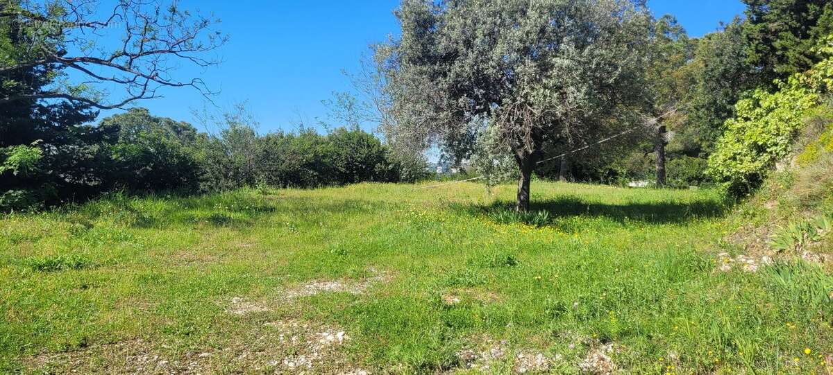 Photo 2 - Terrain à CAGNES-SUR-MER