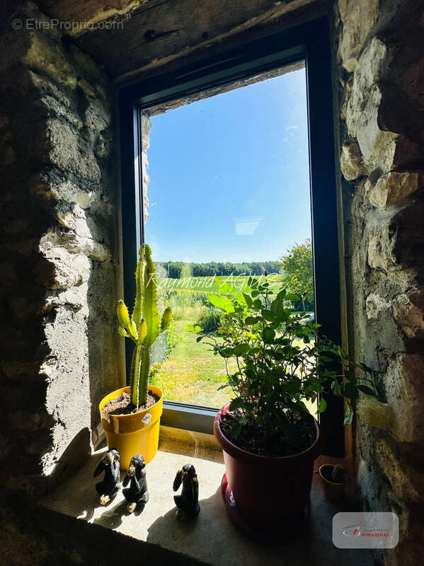 Charmante maison traditionnelle en pierre avec annexe indépendante et piscine de 15 x 6 m - photo 15