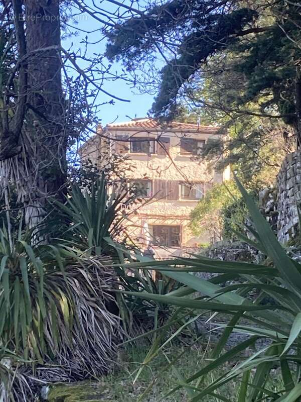 Maison à TAURIERS