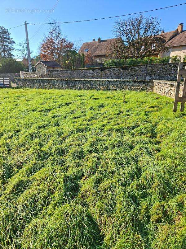 Terrain à SAINT-HILAIRE-DE-BRENS