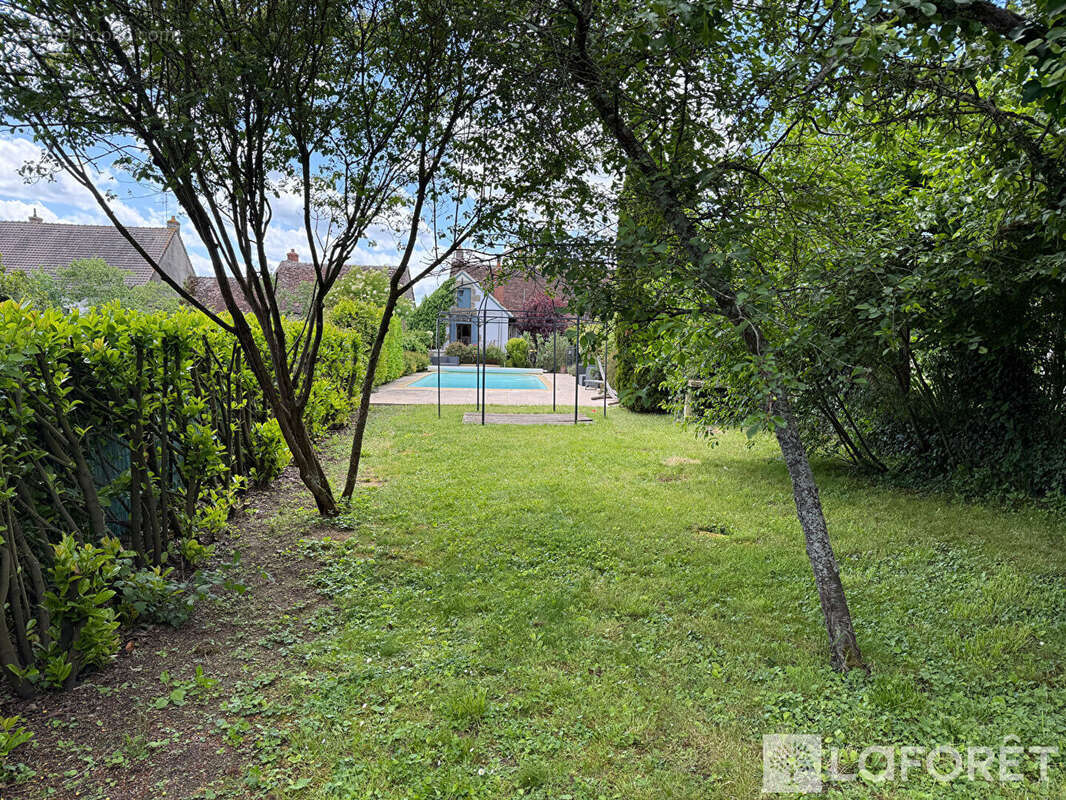Maison au  Montet  avec piscine - photo 3