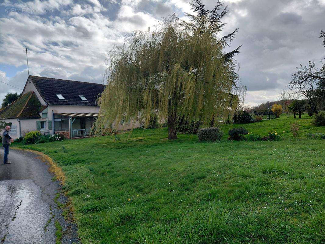 petite ferme - photo 2