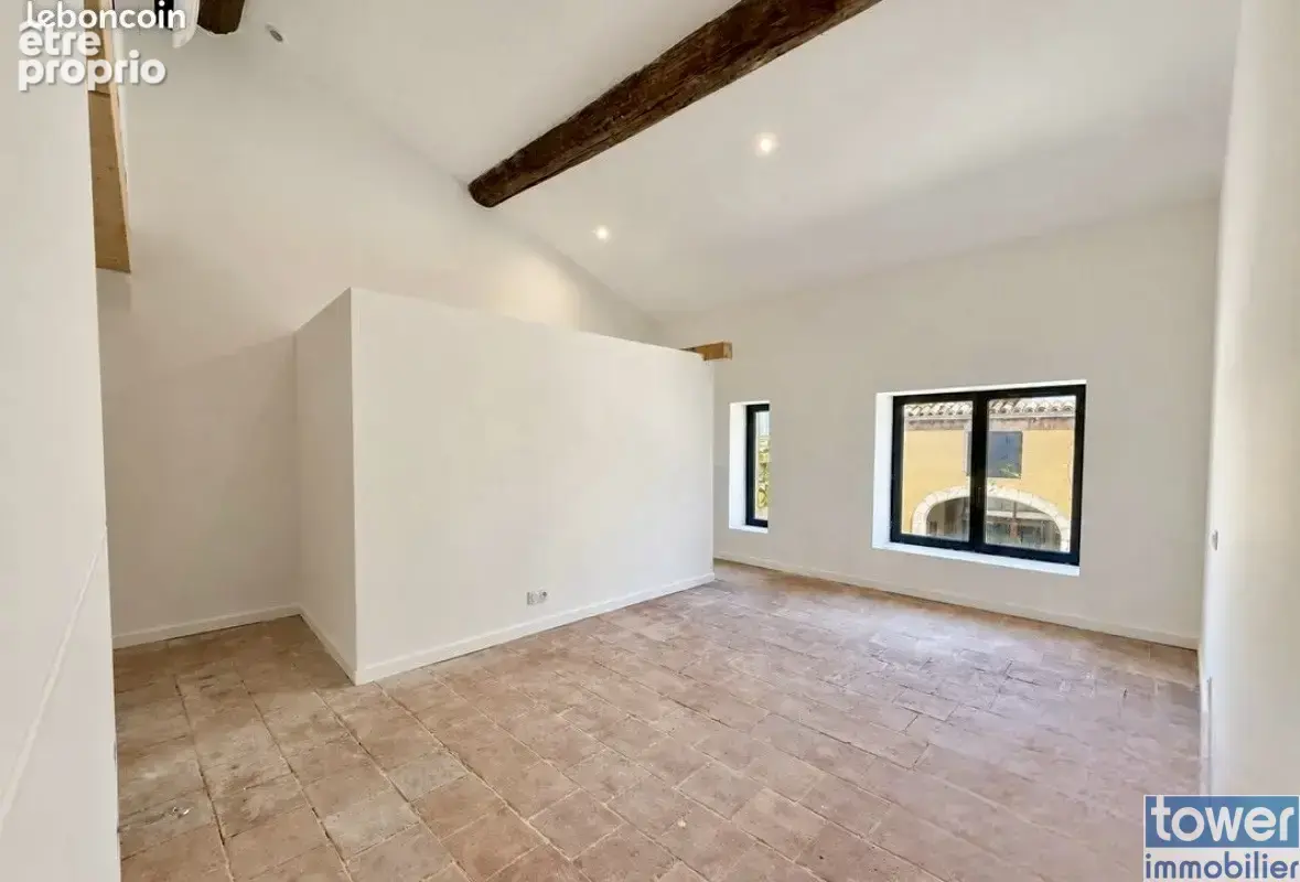 Loft d'exception rénové avec garage de 130 m2  Terrasse de 45 m2 - photo 4