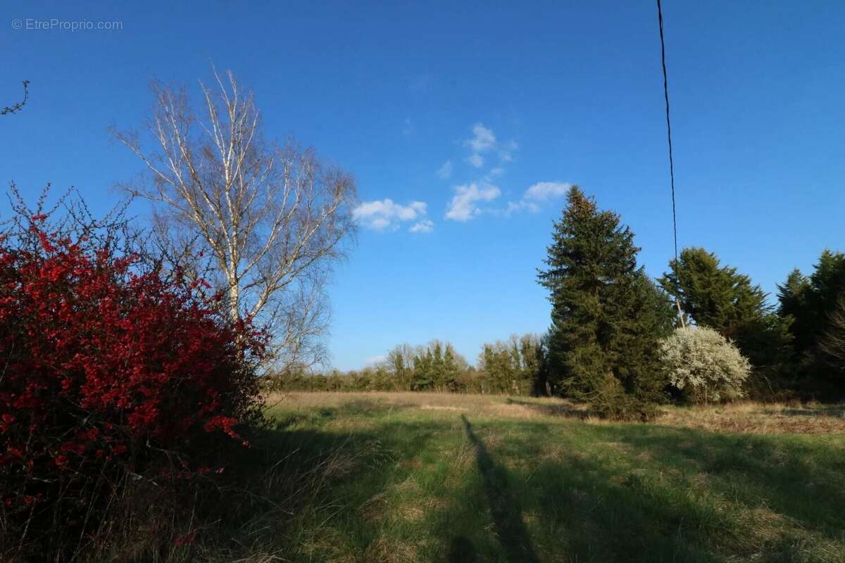 Maison à LA GUERCHE-SUR-L&#039;AUBOIS