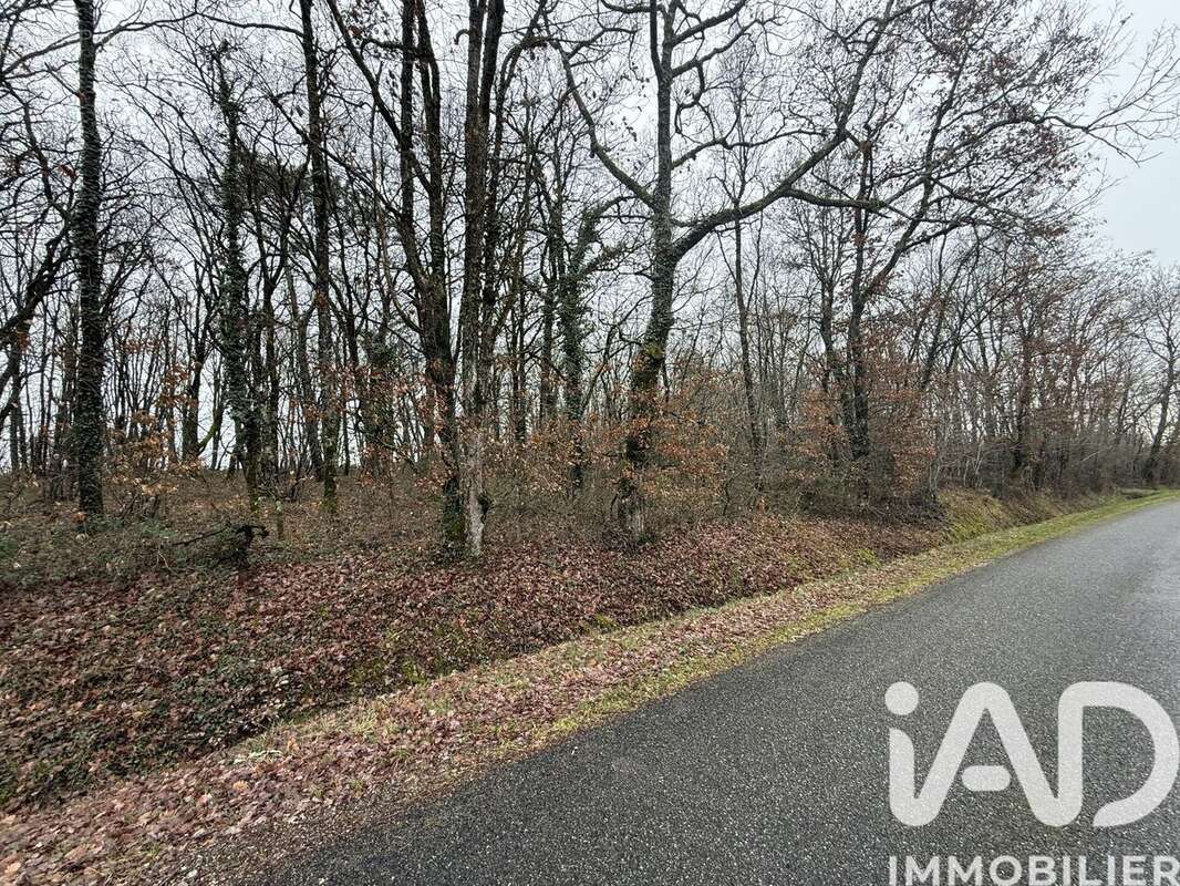 Photo 3 - Terrain à VILLEMUR-SUR-TARN