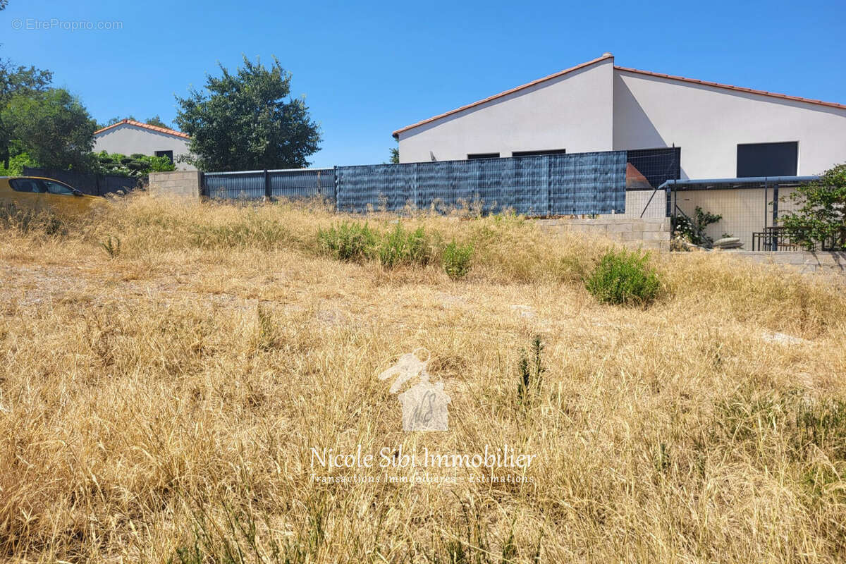 Terrain 280 m² à Corbere-Les-Cabanes  - photo 6