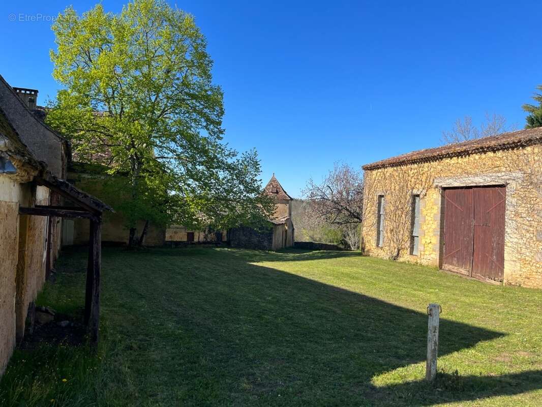 IMG_8398 2.jpeg - Maison à SAINT-AVIT-SENIEUR