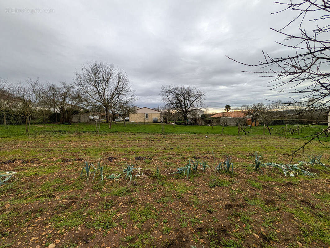 Terrain à LA MOTHE-SAINT-HERAY