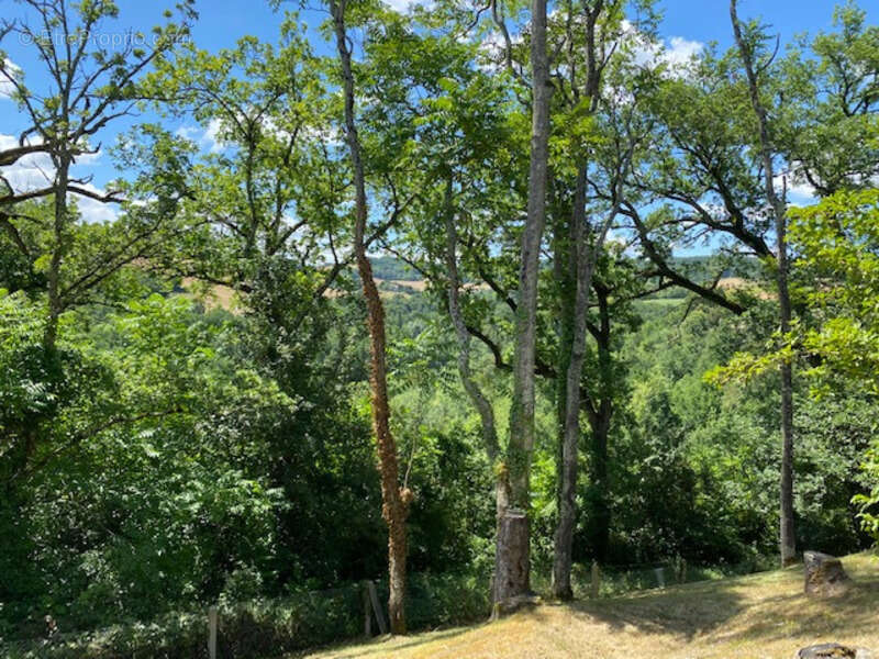 Dpt Tarn (81), à vendre PUYLAURENS maison P9 de 260 m² - Terrain de 5 571,00 m² - photo 42