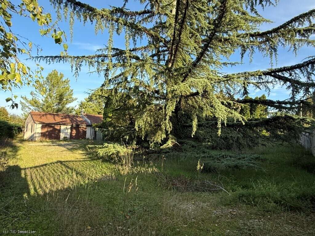 Maison à VERTEUIL-SUR-CHARENTE