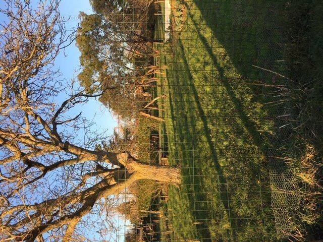 Terrain à FOUSSAIS-PAYRE