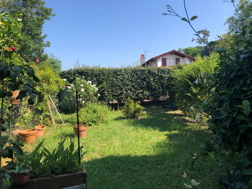 Maison à CAMBO-LES-BAINS