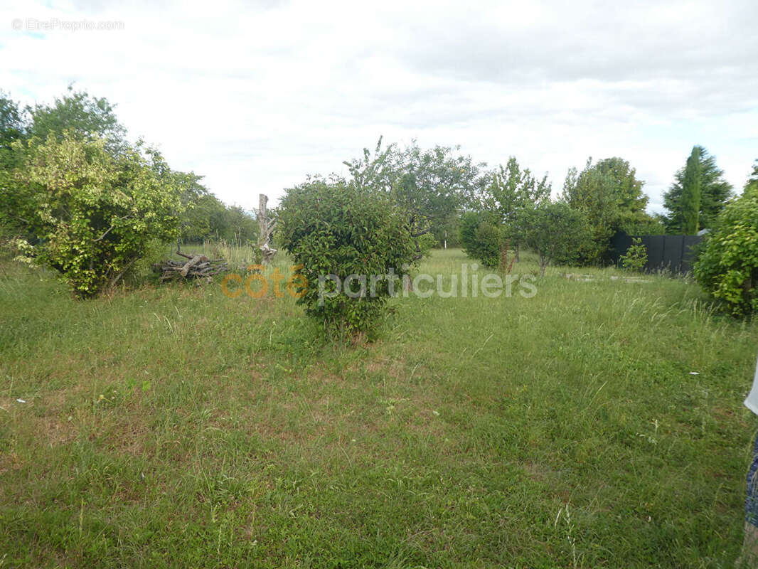 Ancien corps de ferme a 10mn de montargis et de nemours - photo 11