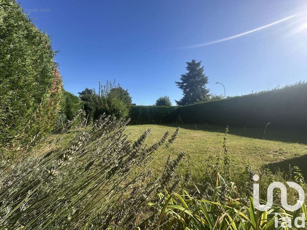 Photo 6 - Maison à NEUILLY-SAINT-FRONT