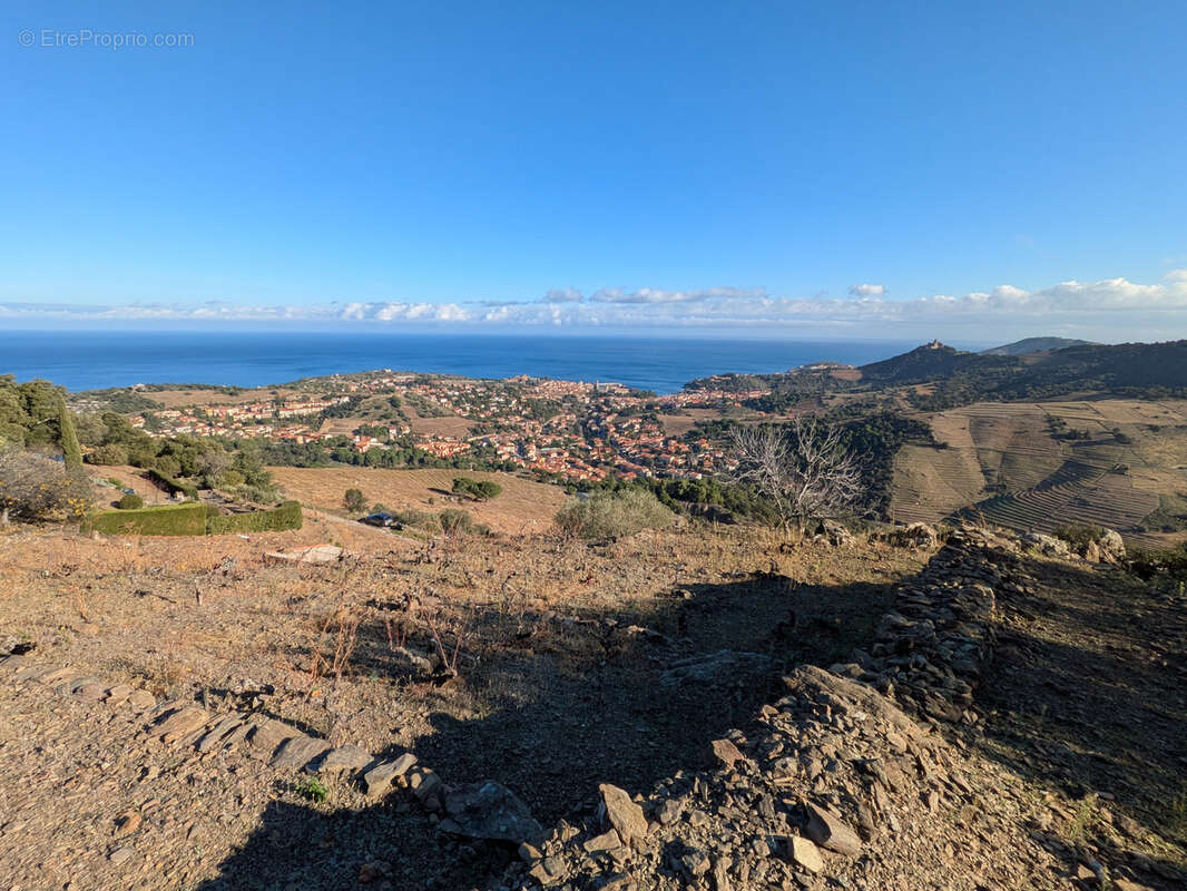 Terrain à COLLIOURE