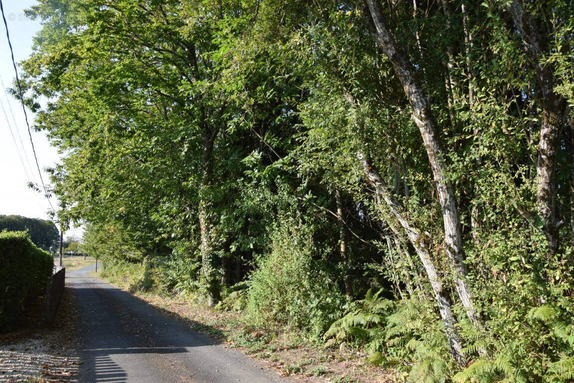 Terrain à SAINT-SORNIN-LAVOLPS