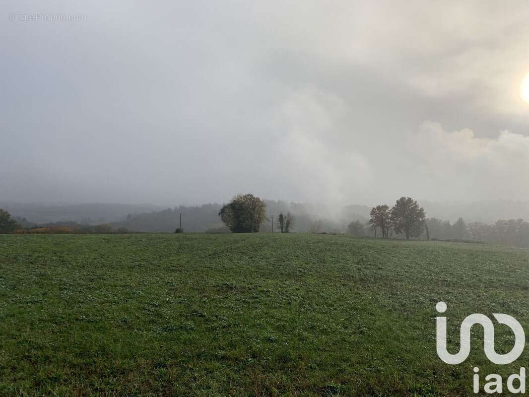 Terrain 53431 m² à Neuvic-Entier  - photo 4