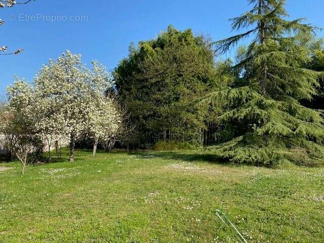 Terrain 753 m² à Le Haillan  - photo 3