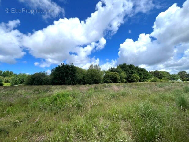 Terrain à ANGRESSE