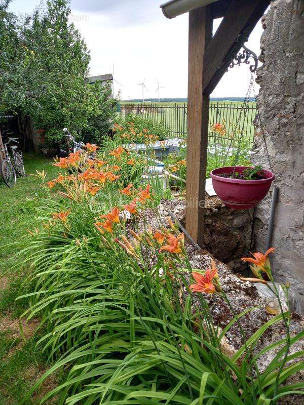 Maison à MONTMIRAIL