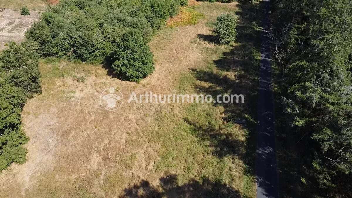 Terrain 3150 m² - photo 2