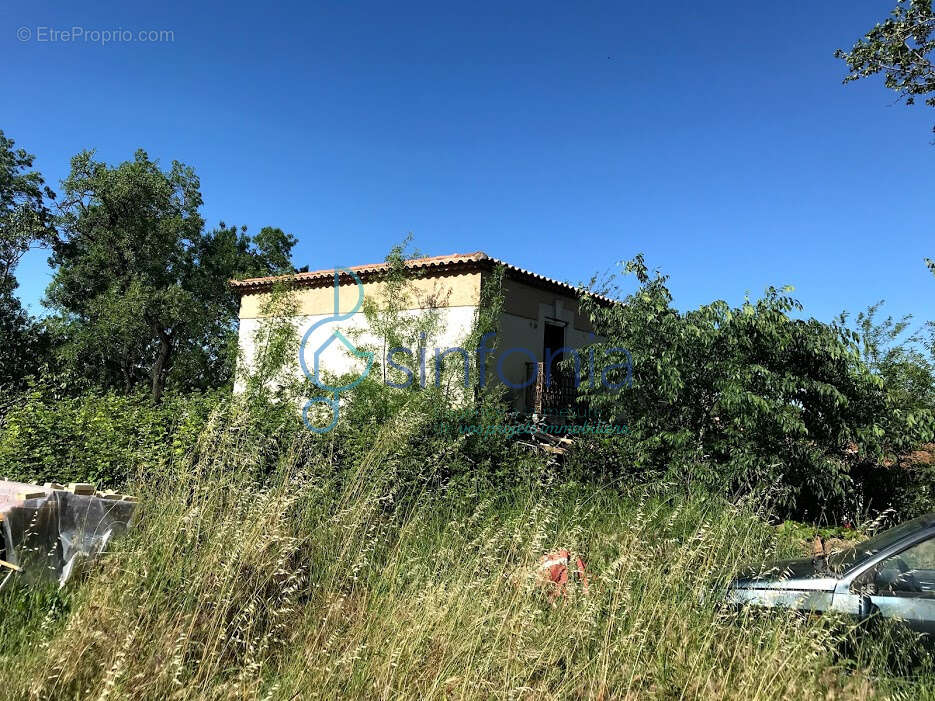 Saint-jean-de-védas   propriété rare à réhabiliter sur 4 835 m2 - photo 8