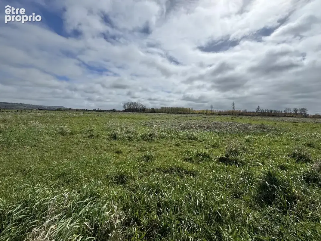Terrain à HOTOT-EN-AUGE