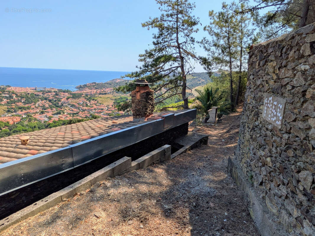 Vigne avec casot a vendre a collioure - photo 17