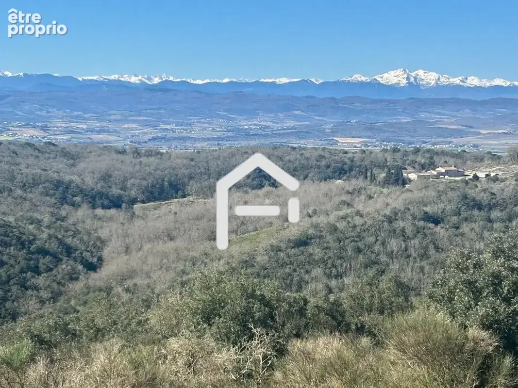 Maison 11 pièces 400 m² à vendre à Carcassonne (11000) - photo 3