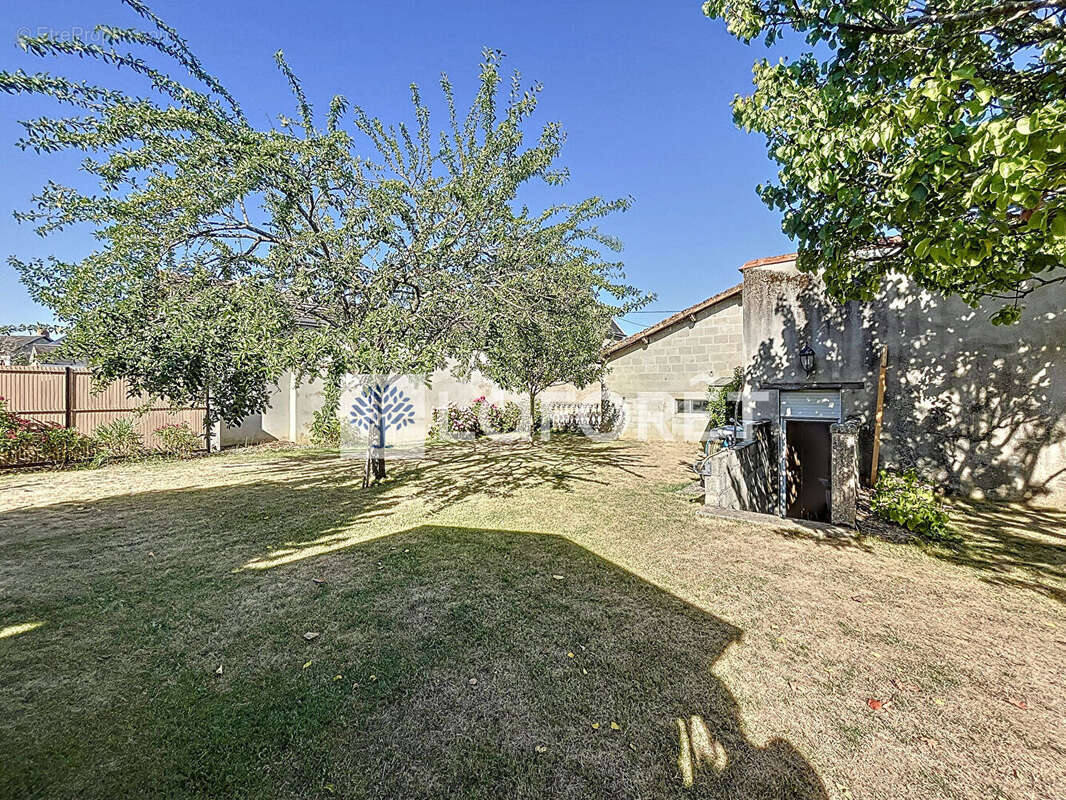 Maison à VASLES