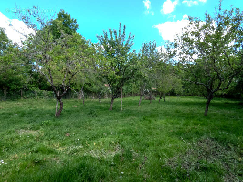 Maison à SAINT-VINCENT-SUR-GRAON