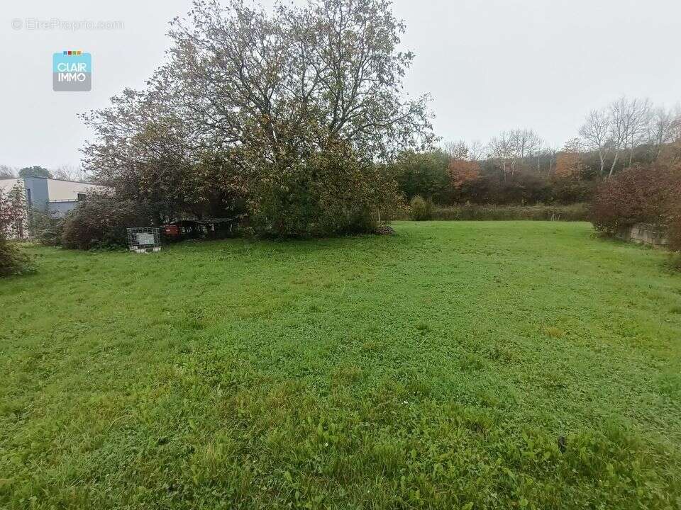 A SENNECE-LES-MACON TERRAIN A BATIR DE 2460 ENV DONT 1 100 M² - Terrain à MACON