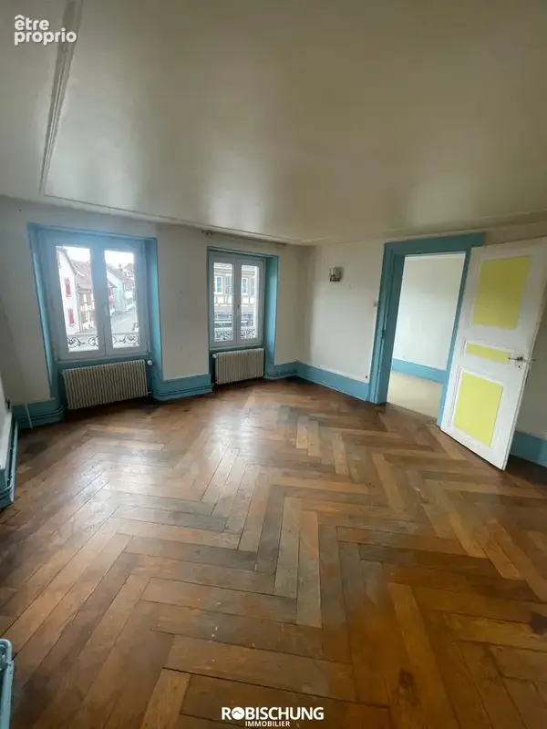 DANNEMARIE : Maison individuelle avec 2 appartements + dépendance - photo 4