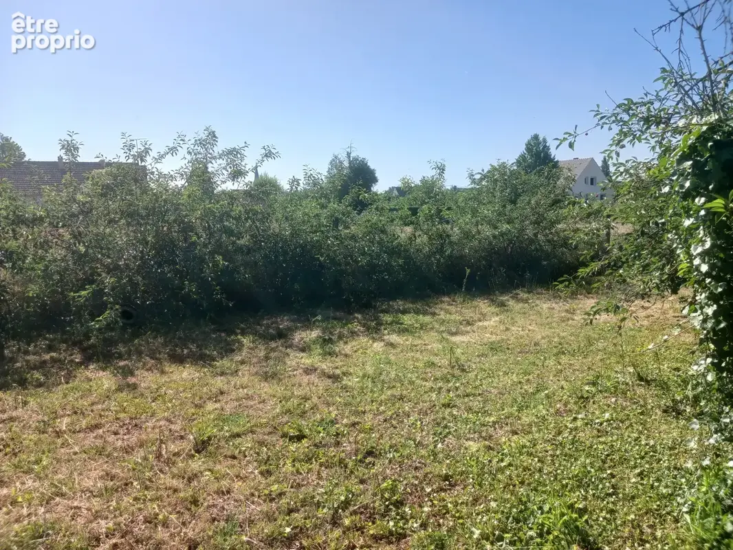 Terrain 1360 m2 à PUISEAUX (45390) - photo 6