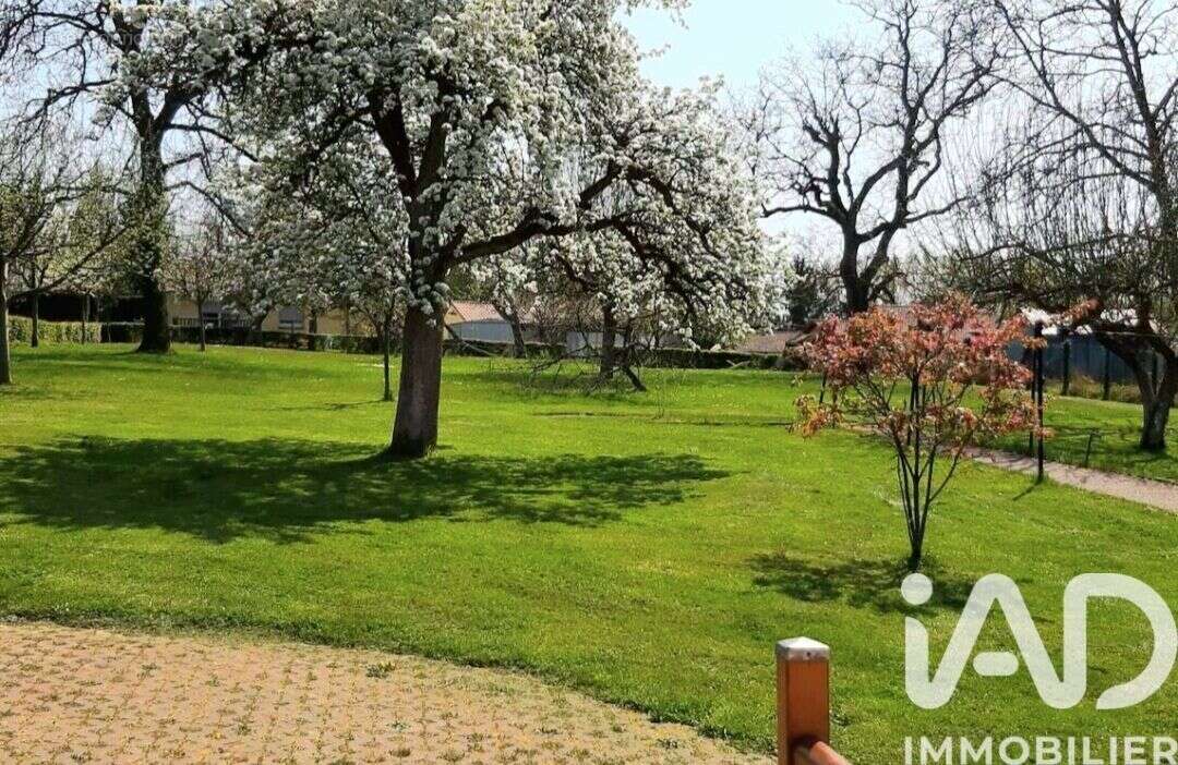 Photo 5 - Maison à SARREGUEMINES