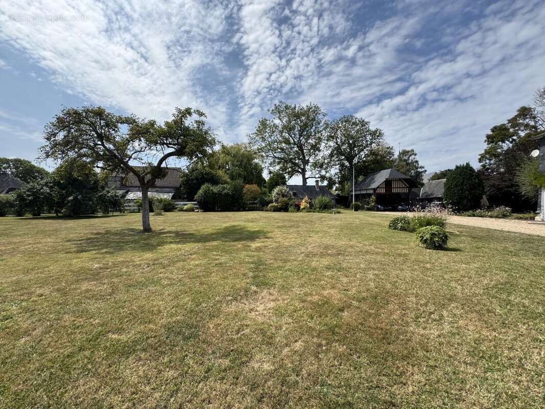 Maison 300 m² à Tourgeville  - photo 8