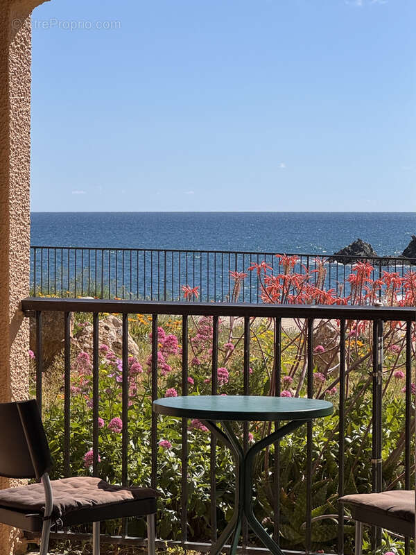 Appartement à COLLIOURE