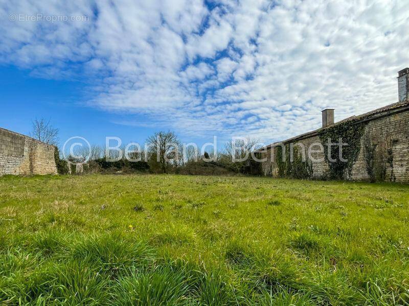 Terrain à CHEF-BOUTONNE