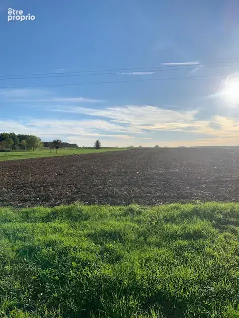 Votre terrain a meursanges - photo 5