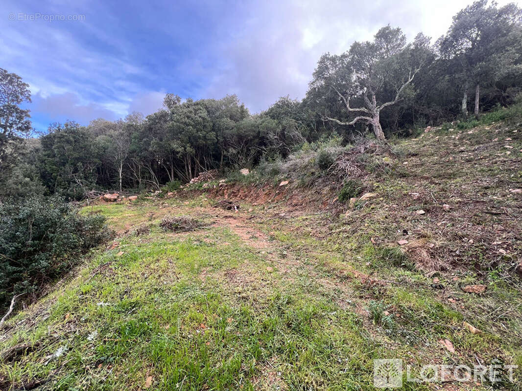 Terrain à FIGARI