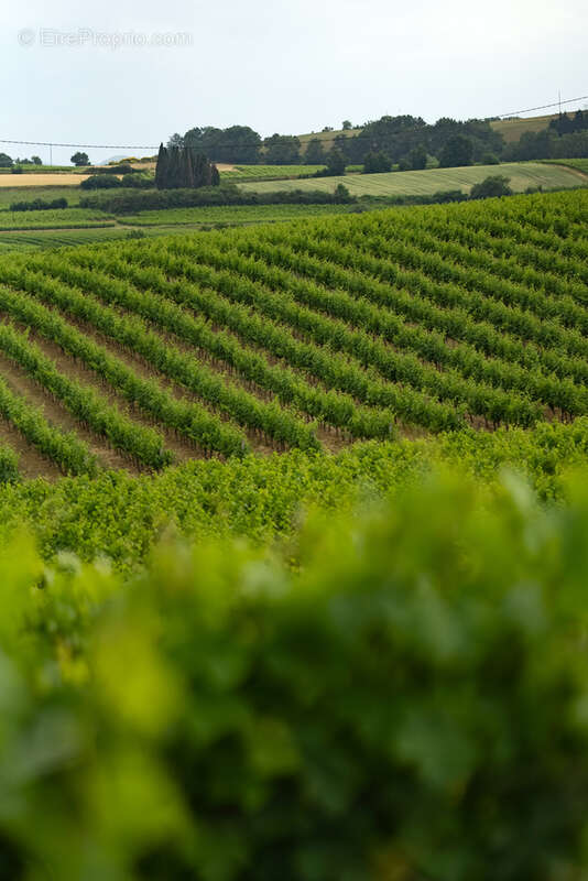 Maison à BELVEZE-DU-RAZES