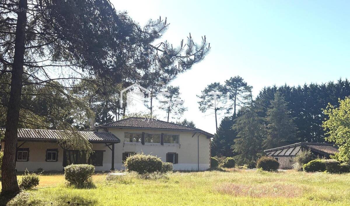 Photo 1 - Maison à GABARRET