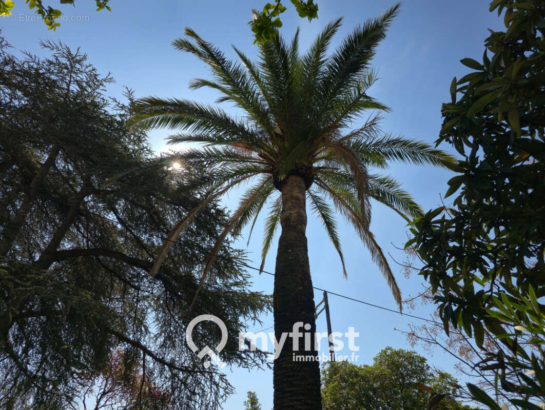 Bâtisse de caractère sur les hauts de Toulon - photo 23