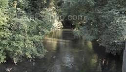 Appartement à SAUSHEIM