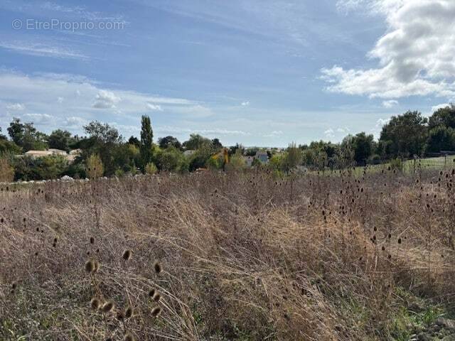 Terrain à CHATELAILLON-PLAGE