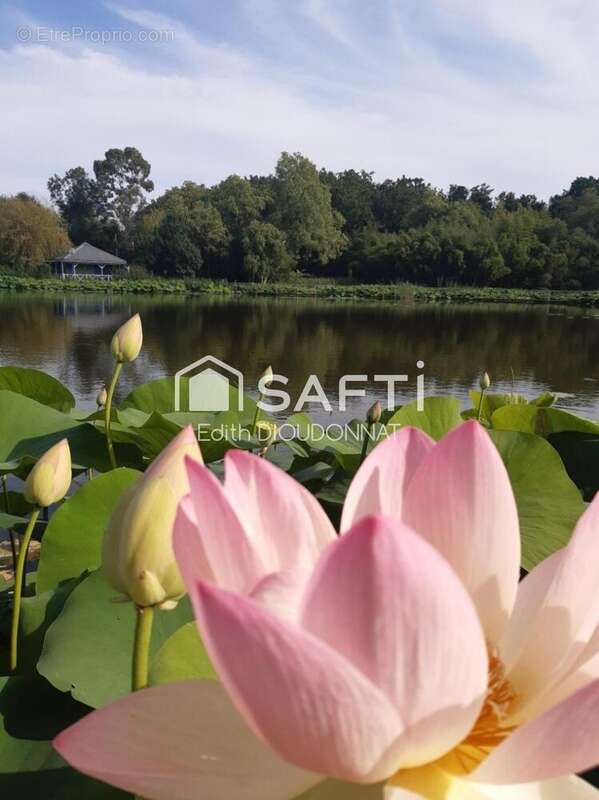 Photo 9 - Maison à SAINT-CYR-EN-TALMONDAIS